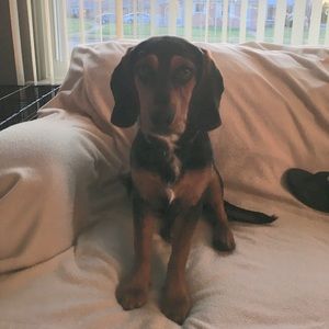 Meet your Posher, Kathryn